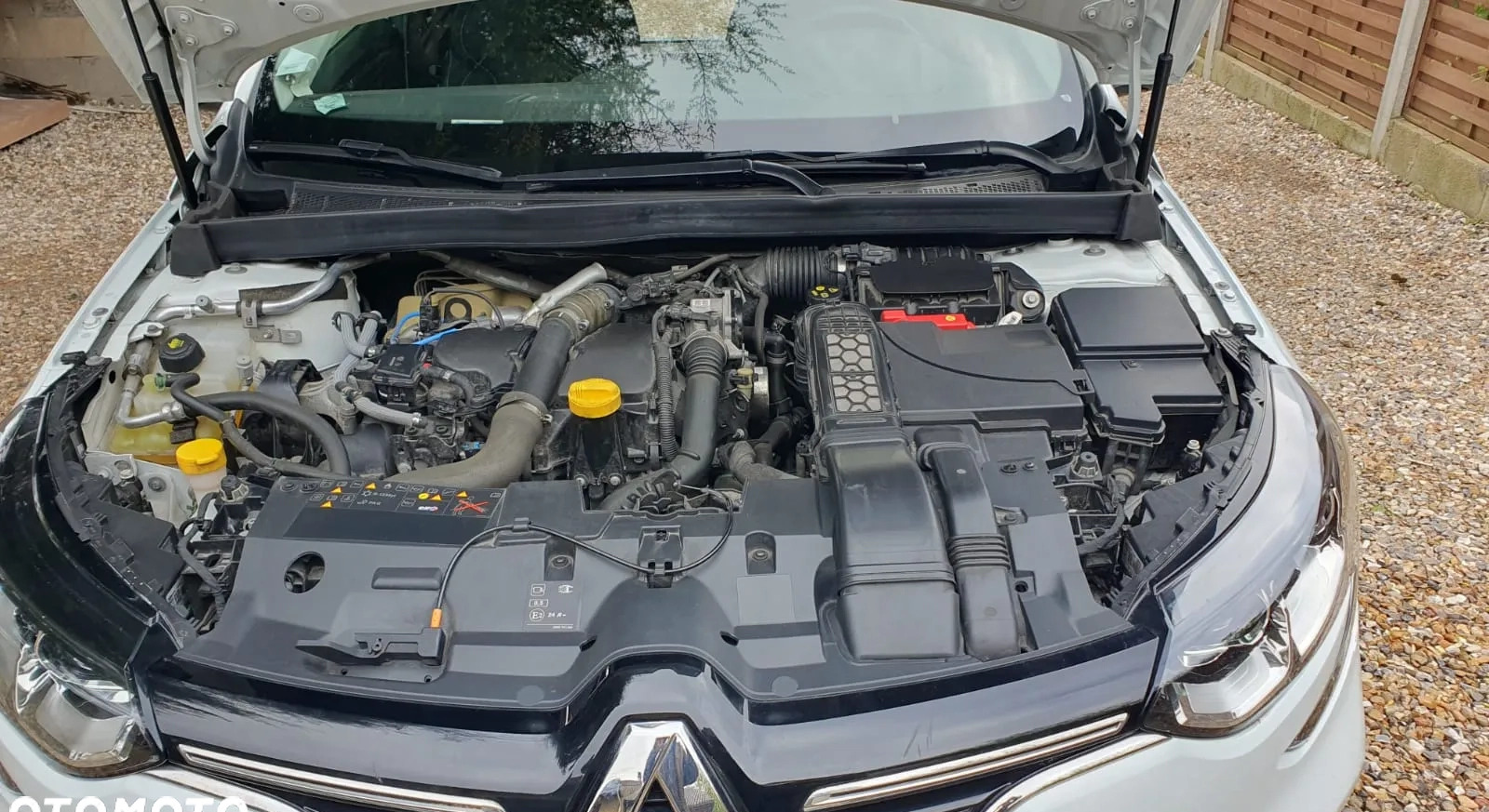 Renault Megane cena 42000 przebieg: 108506, rok produkcji 2018 z Pleszew małe 137